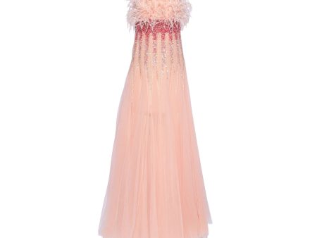 Supria Munjal Dust Peach Long Tulle Dress Online Sale