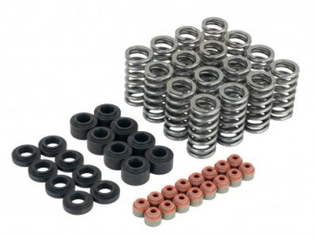 Skunk2 Honda L15B7 Ultra Valve Springs and Spring Base Kit Discount